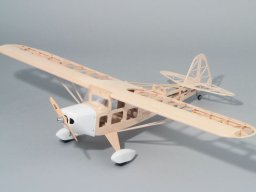 2018 Taylorcraft Build
